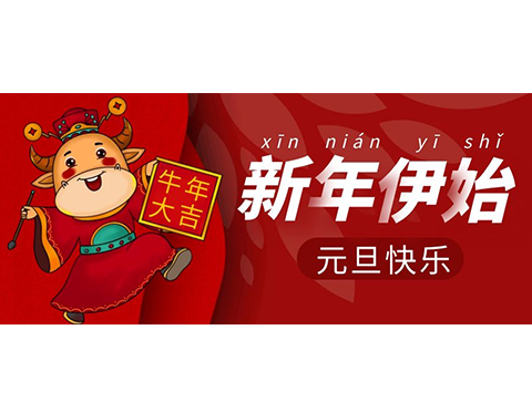 2020 實“鼠”不易，2021“牛”轉乾坤